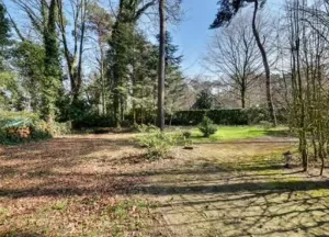 Bouwgrond Spechtbos