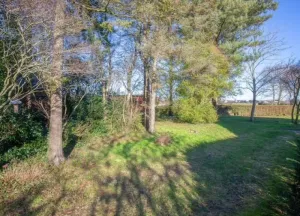 Bouwgrond Schilderend 101 X