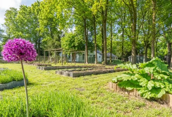 Bouwgrond Veenakkers 