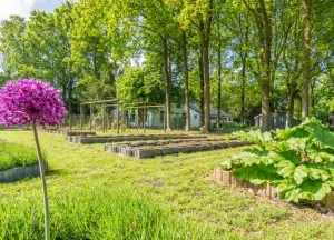 Bouwgrond Veenakkers 
